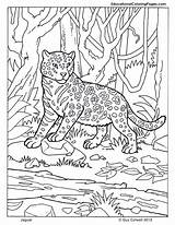 Coloring Jaguar Pages Mammals Animal Kids Printable Mammal Jungle Camouflage Drawing Book Zoo Animals Big Color Print Four Baby Cats sketch template