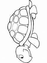 Schildpad Kleurplaten Tekening Dieren Schildpadden Krabbels Moeilijk Uitprinten Eenhoorn Downloaden Afkomstig Terborg600 sketch template