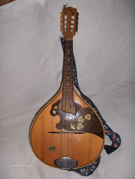 muziekinstrument mandoline muziekinstrument catawiki