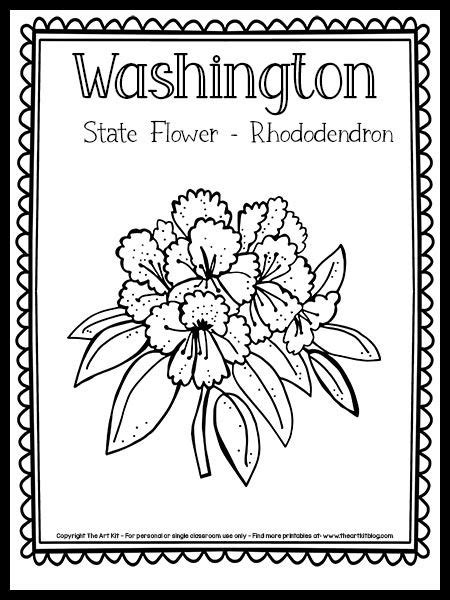 washington state flower coloring page rhododendron  printable