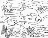 Coloring Pages Underwater Sea Print sketch template