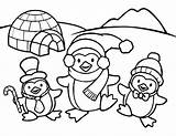 Coloring Penguin Pages Winter Sheets Christmas Choose Board Children Kids sketch template
