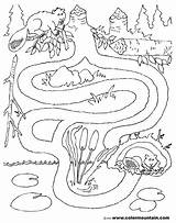 Coloring Maze Activity Beaver Pages Sheet Scenery Labyrinths Educational Book Printable Mazes Drawing Mountain Color Drawings Kb Getdrawings Popular sketch template
