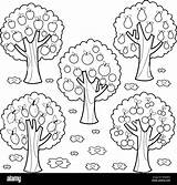 Arbres Fruitiers Trees Noire Arbre Lemon Blanche Alamyimages Cerises Orchard Sauver sketch template
