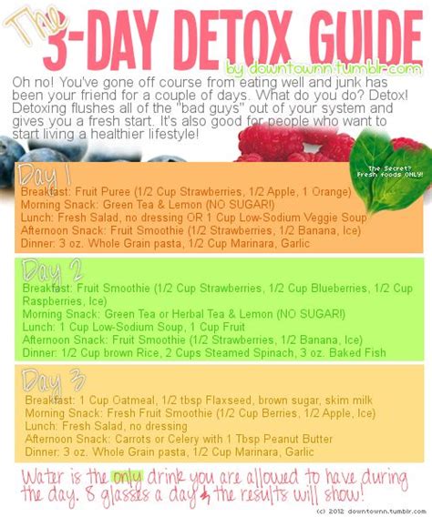A 3 Day Detox Diet To Reset Your Body — The Detox Specialist