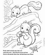 Coloring Pages Squirrel Animal Farm Sheet Printable Sheets Print Squirrels Color Kids Printing Help sketch template