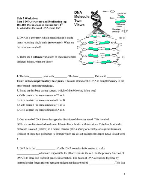 fern sheets dna structure worksheet answer key