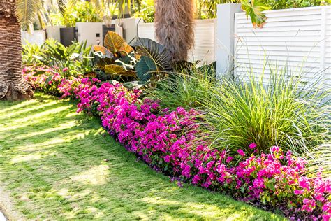 landscaping ideas  florida curb appeal passage island construction