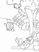 Tortoise Hare Coloring Pages Fables Kids Color Printable Bear Print Sheet Story Rabbit Colouring Drawing Aesop Animal Gif Sheets Children sketch template