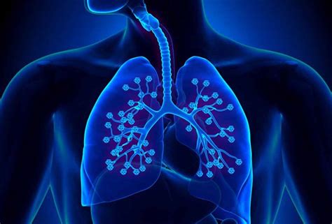 respiratory tract infection specialist  sunder vihar
