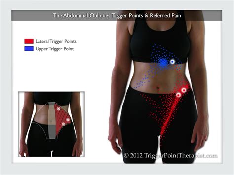 Abdominal Oblique Trigger Points South Of The Border Pain