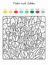 Zahlen Ausmalbild Ausmalen Ausdrucken Ganze Kostenlos Frühling Farben Familie Schule Gemerkt Frühlingswiese Blumen sketch template
