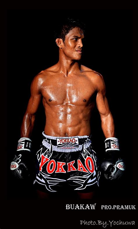 Muay Thai Who Is The Best Muay Thai Fighter