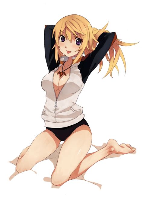 Charlotte Dunois Infinite Stratos Drawn By Penguin Caee