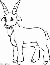 Goat Coloring Pages Animals Farm Cute Easy Billy Smiles sketch template