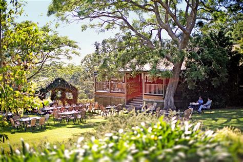 fish cafe restaurant  vineyard nsw holidays accommodation