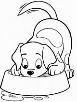 Cachorro Hund Hunde Malvorlage Vamos Malen Malvorlagen sketch template