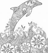 Delfine Delfin Malvorlagen sketch template