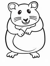 Coloring Hamsters Ausmalbild Ausdrucken Ausmalen Chinchilla Critter Dwarf Unclebills Clipartmag sketch template
