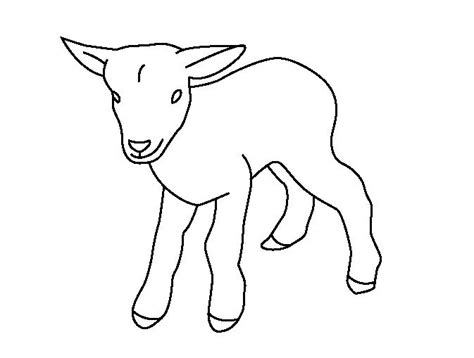 baby goat coloring page coloring book find  favorite