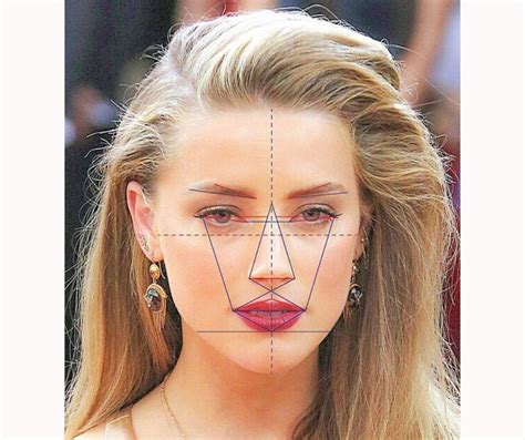find  face shape  types  face shapes fabbon