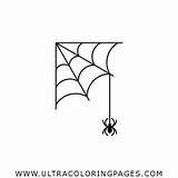 Aranha Teia Spider Ragnatela Colorare Spiderweb Ultracoloringpages sketch template