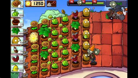 plants  zombies   strategy   functions