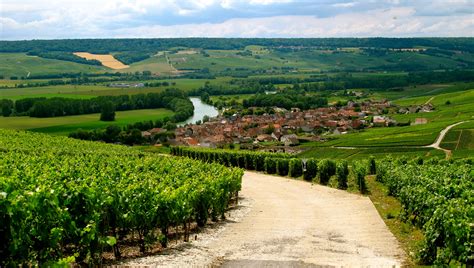 guided wine tours  champagne france