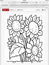 Punch Sunflower Broderie Coloring sketch template
