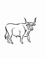Ox Coloring Clipart Drawing Clip Bull Library Pages Getdrawings Webstockreview sketch template