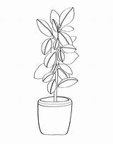 Coloring Plant Pot Plain sketch template
