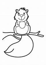 Squirrel Coloring Pages Printable Kids sketch template
