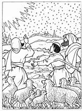Kleurplaten Herders Kerstverhaal Bijbel Bijbelse Consola Typisch Vind sketch template