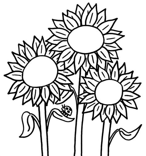 sunflower coloring page zomer kleurplaten zonnebloem knutselen
