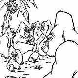 Tarzan Kala Coloring Kerchak Pages Baby Raising Doesn Babys sketch template