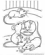 Coloring Pages Mouse Mice Farm Animal Printable Animals Kids Colouring Honkingdonkey Books Eating Cheese Color Print Fun Cat Visit Sheets sketch template