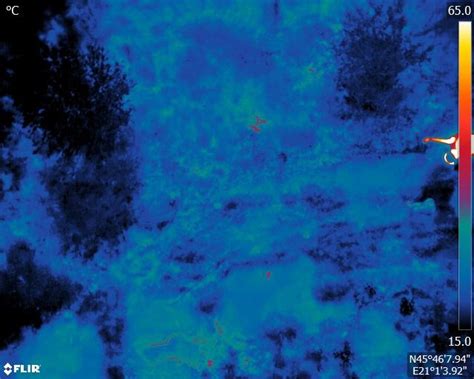 thermal inspection  drones case study skylinedrones
