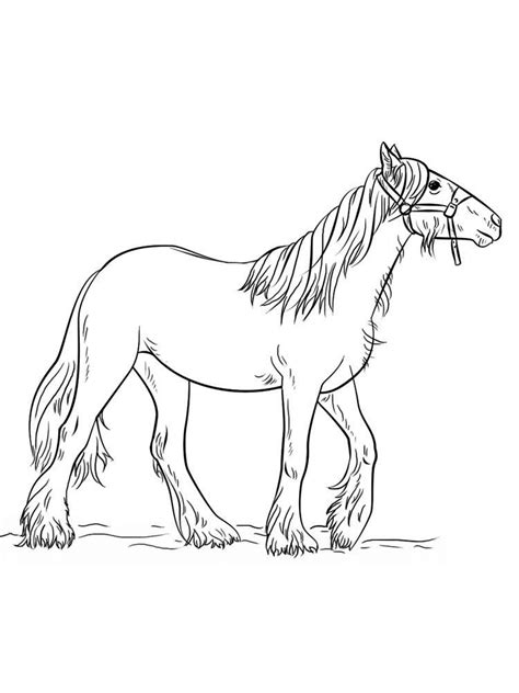 wild horse coloring pages dennis henningers coloring pages