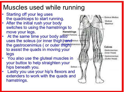 muscles   running images yahoo image search results