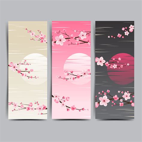 cherry blossom background banner  vector art  vecteezy