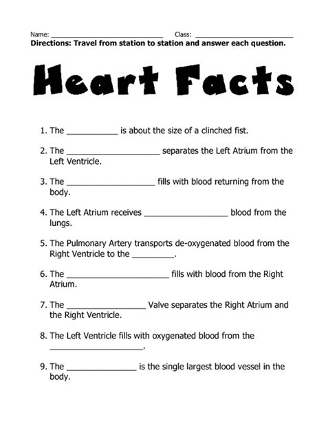 human heart worksheet worksheetfun   heart facts human body