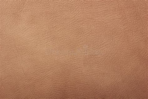light brown leather background stock photo image  clothes