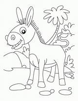 Ane Esel Donkeys Heureux Superbe Ausmalbild Ezels Kleuters Smartest Bestcoloringpages Mewarnai Coloringhome sketch template