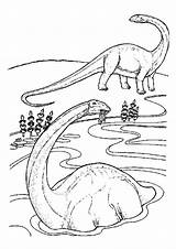 Diplodocus Brachiosaurus Ausmalen Colorir Deux Dino Ausmalbilder Brontosaurus Dinosaurier Hellokids Dinosaures Colorier Ligne Designlooter sketch template