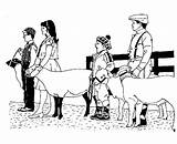 Livestock Bulkcolor sketch template