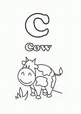 Coloring Cow Letter Pages Printable Start Color Print Kids Alphabet Library Clipart sketch template