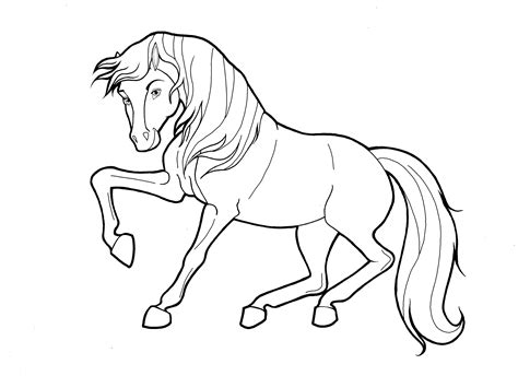 black  white horse coloring pages  getcoloringscom