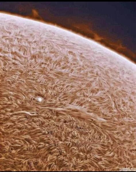 Nasa Releases The Closest Image Of The Sun To Date R