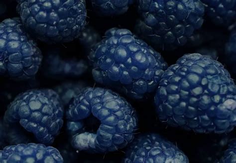 blue raspberries