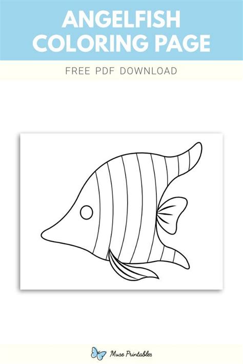 printable angelfish coloring page    https
